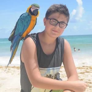 Meet your Posher, Samuel